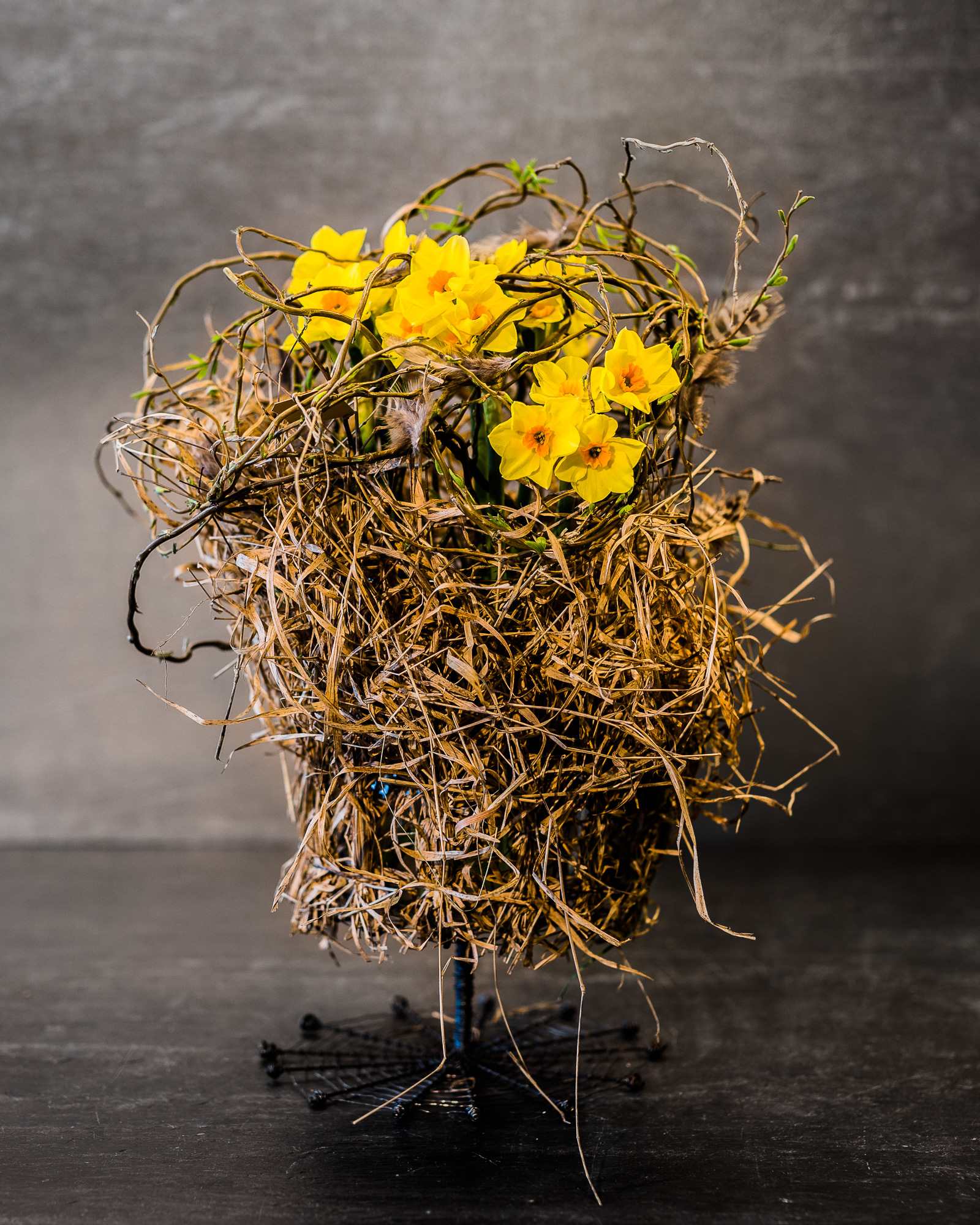 Export x3 5D4 9313 Businessauftrag 2017 Blattform Aarau 2